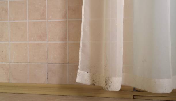 Best Mold Remediation for Healthcare Facilities  in Sioux City, IA