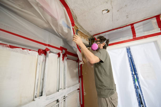 Best Industrial Mold Remediation  in Sioux City, IA