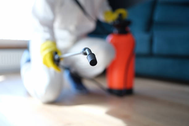 Best Asbestos and Lead Testing During Mold Inspection  in Sioux City, IA